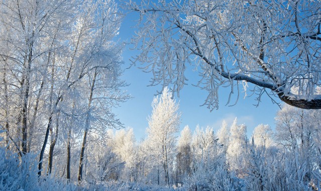 “令人眼花缭乱的冬季仙境，延仁山