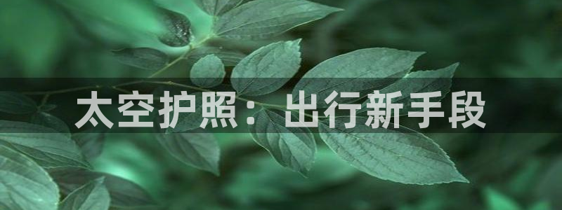 海角社区在线：太空护照：出行新手段